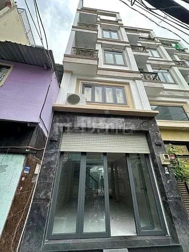 6004161 ảnh đại diện 1