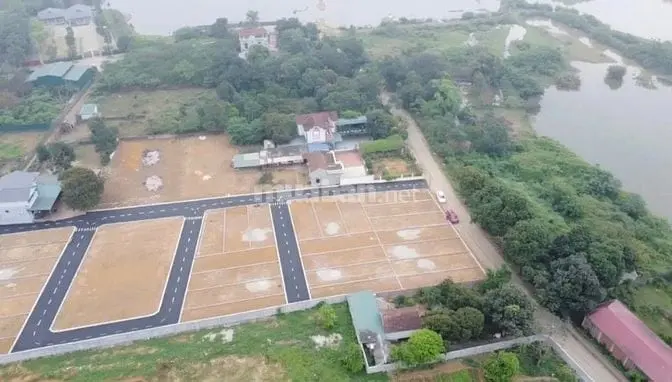 6004067 ảnh đại diện 1