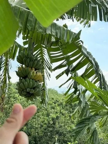 6004081 ảnh đại diện 1