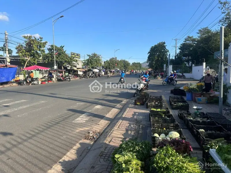 6003980 ảnh đại diện 1