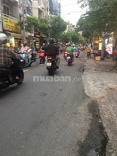 6004271 ảnh đại diện 1