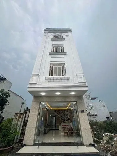 6003916 ảnh đại diện 1