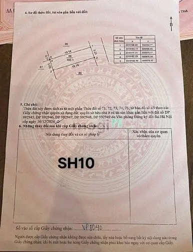 6004319 ảnh đại diện 1