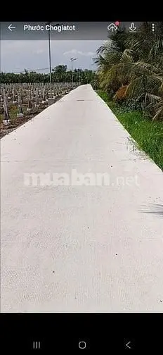 6004252 ảnh đại diện 1