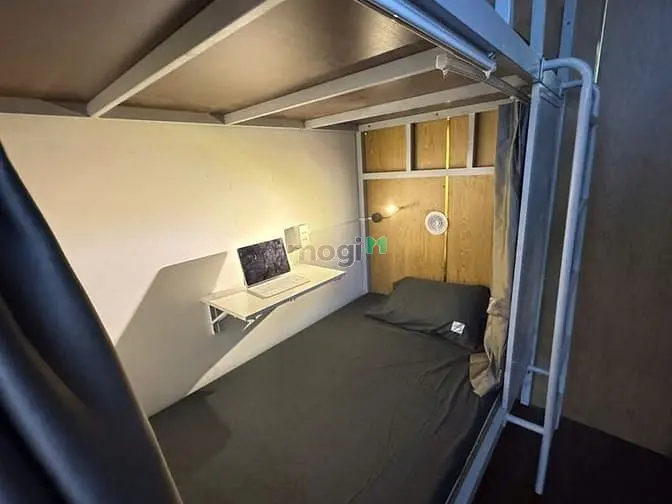 6004383 ảnh đại diện 1