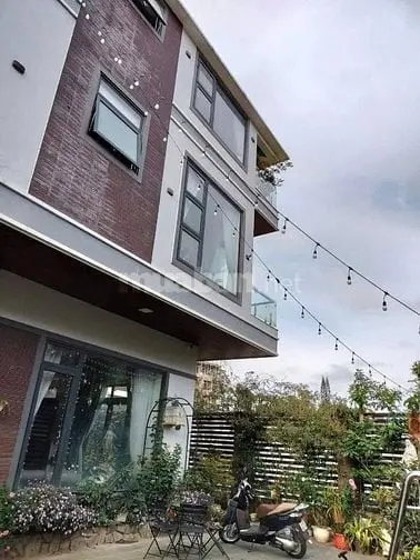 6004133 ảnh đại diện 1