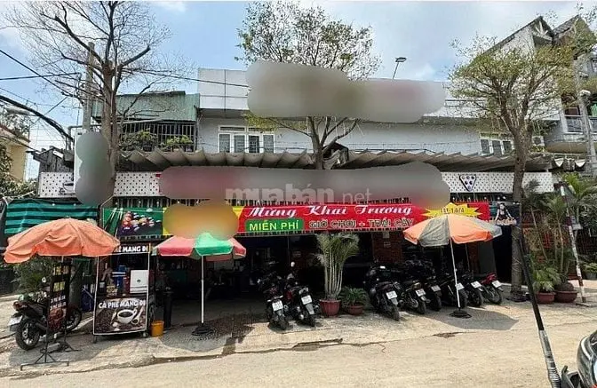 6004561 ảnh đại diện 1