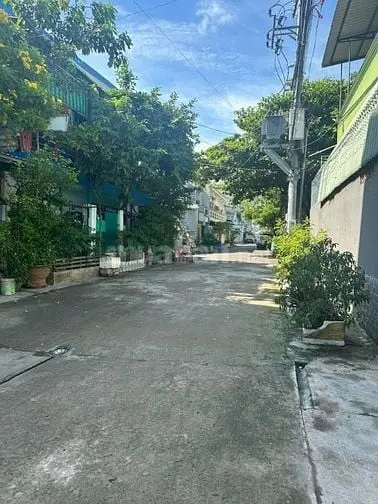 6004236 ảnh đại diện 1