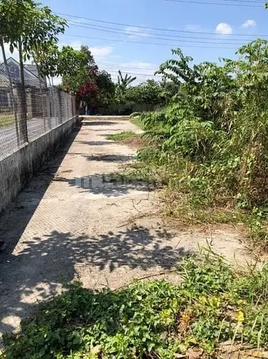 6004230 ảnh đại diện 1