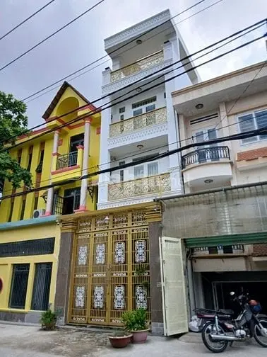 6004502 ảnh đại diện 1