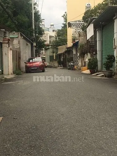 6004224 ảnh đại diện 1