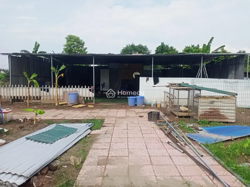 6004516 ảnh đại diện 1
