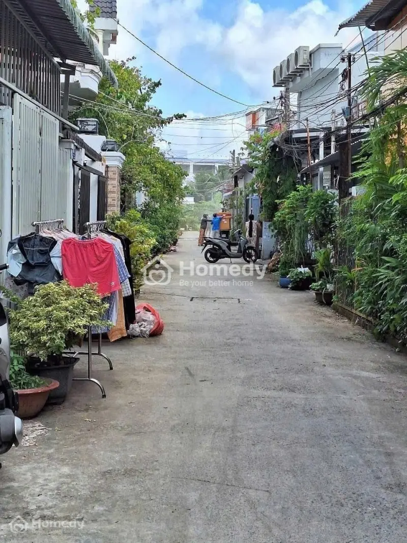 6004219 ảnh đại diện 1