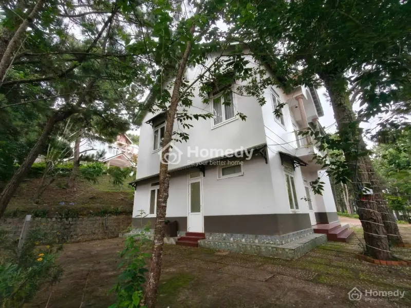 Cho Thuê Villa Sân Vườn 5 Phòng Toạ Lạc Rừng Thông Phường 8 Đà Lạt Giá 25Tr