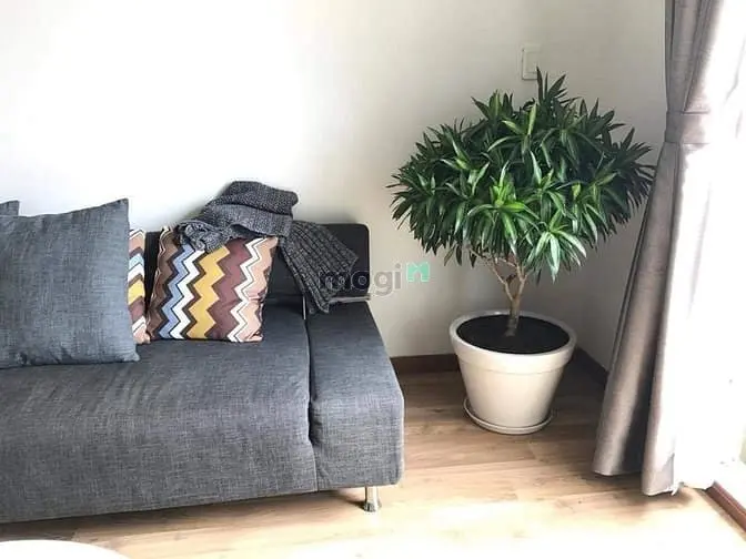 6004115 ảnh đại diện 1