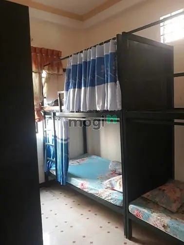 6004423 ảnh đại diện 1