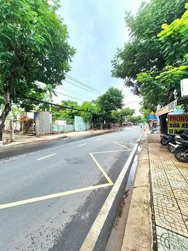 6004283 ảnh đại diện 1