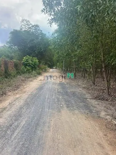 Hạ Giá Bán Gấp Đất Nhà Vườn Nhơn Trạch,Giá Rẻ 670Tr/1000M,Sr Chính Chu