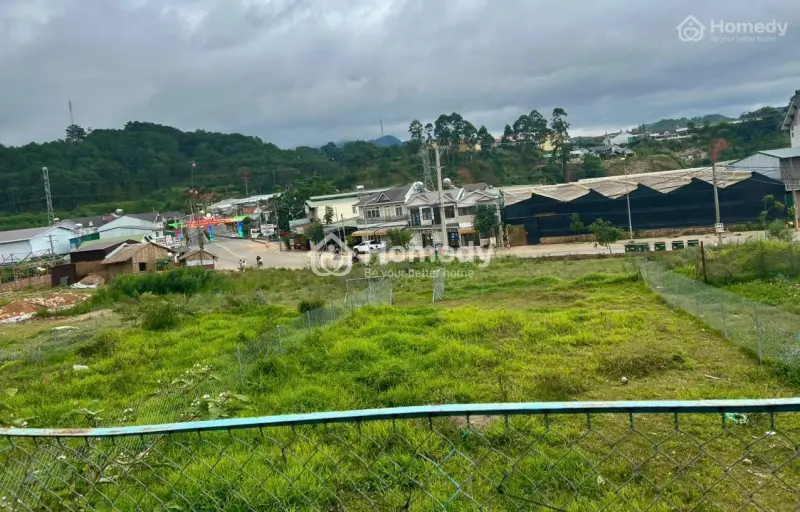 Bán Đất Biệt Thự Phường Lang Biang Đà Lạt Thuộc Phường 7 Cũ