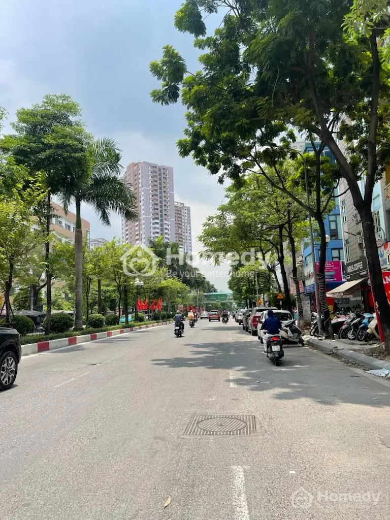 6004311 ảnh đại diện 1