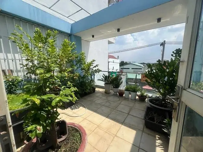 6005056 ảnh đại diện 1