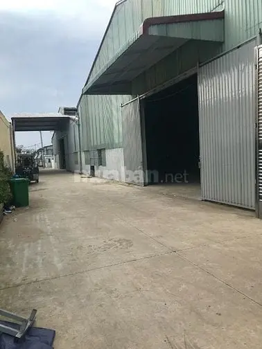 6005144 ảnh đại diện 1