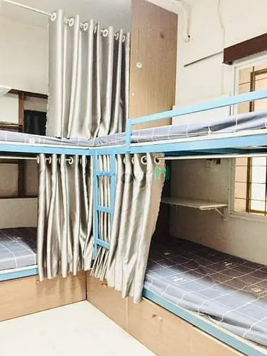 6004628 ảnh đại diện 1