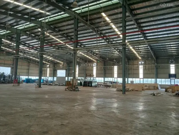 6005143 ảnh đại diện 1