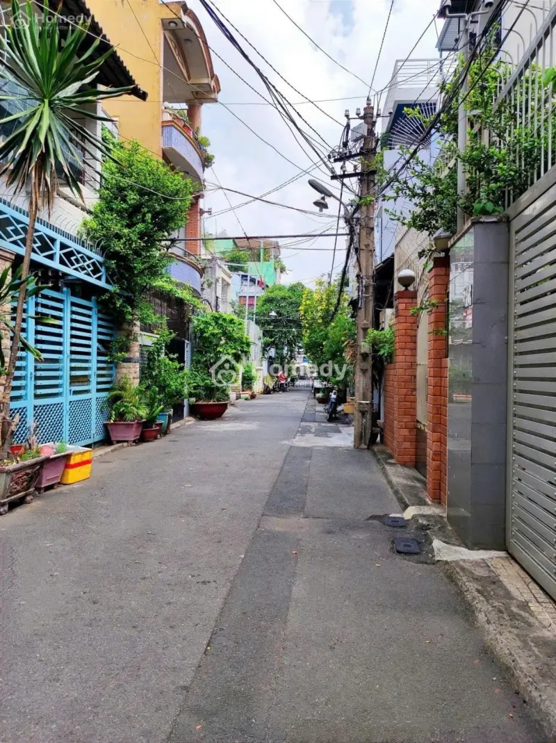 6004782 ảnh đại diện 1