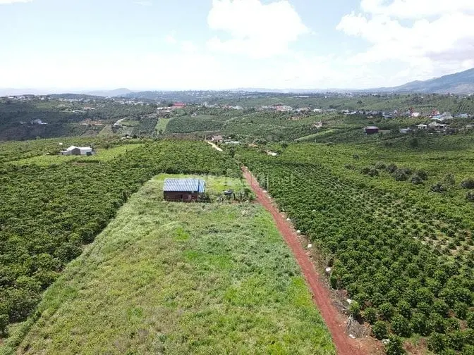 Đất Thổ Cư Đinh Lạc View Đẹp Thích Hợp Nghỉ Dưỡng