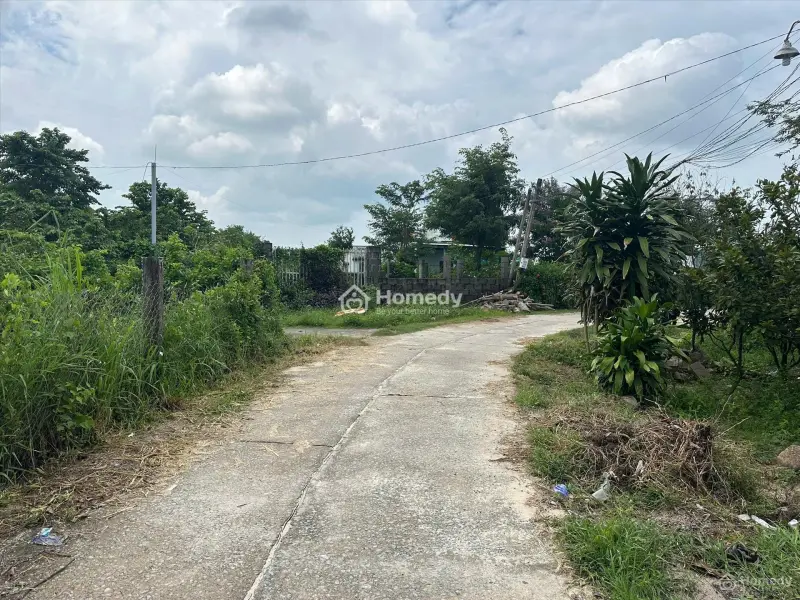 Bán Đất Thổ Cư Tân Bình, Thị Xã Lagi Chỉ 980 Triệu Đường Ô Tô