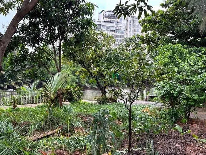 6005101 ảnh đại diện 1