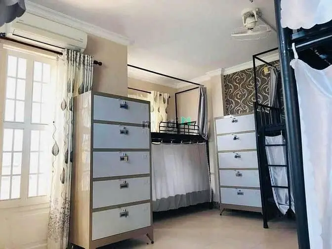 6004648 ảnh đại diện 1