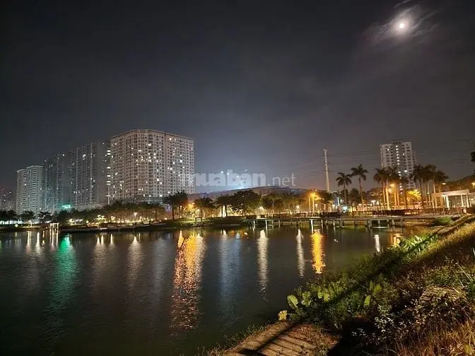 6005053 ảnh đại diện 1