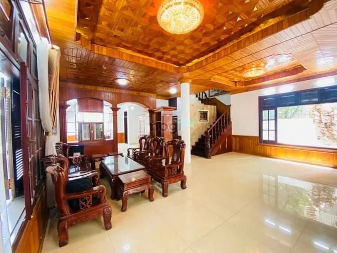 6004649 ảnh đại diện 1