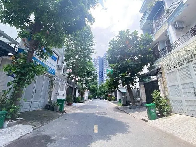 6004946 ảnh đại diện 1