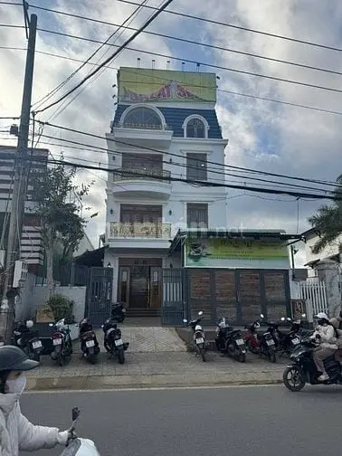 6004886 ảnh đại diện 1