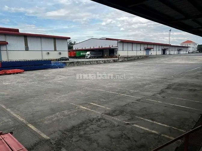 6004913 ảnh đại diện 1