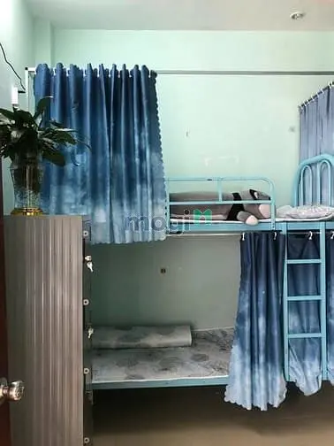6004702 ảnh đại diện 1