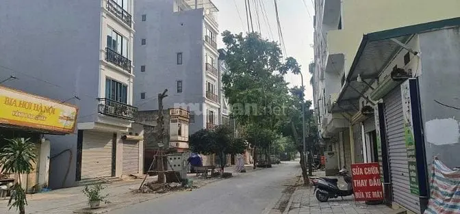 6005001 ảnh đại diện 1