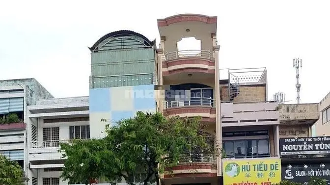 6005020 ảnh đại diện 1