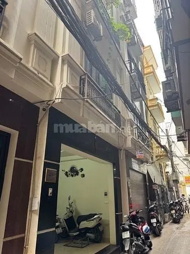 6004689 ảnh đại diện 1