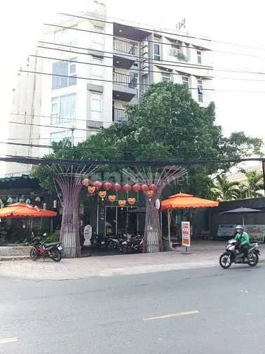 6004672 ảnh đại diện 1
