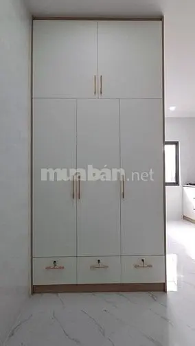 6005029 ảnh đại diện 1