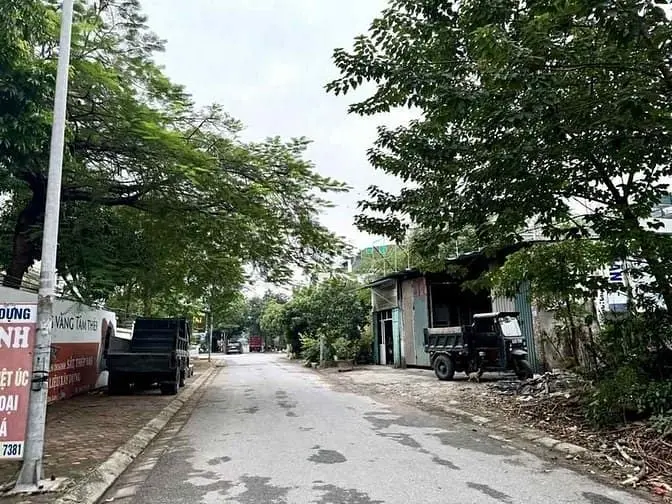 6005077 ảnh đại diện 1