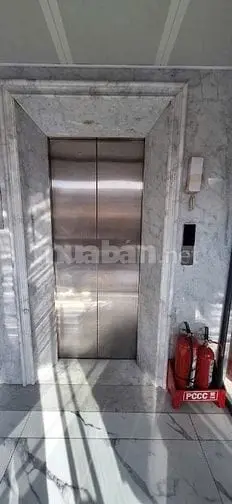 6004595 ảnh đại diện 1