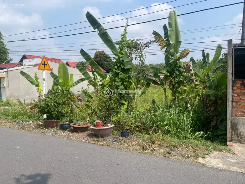 🔥 Bán Gấp Đất Đẹp Củ Chi – 1.480M² Có 300M² Thổ Cư