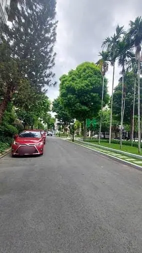 6005120 ảnh đại diện 1