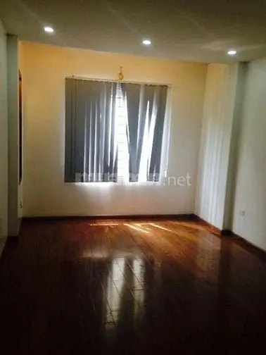 6004900 ảnh đại diện 1