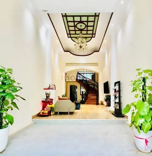 6004939 ảnh đại diện 1
